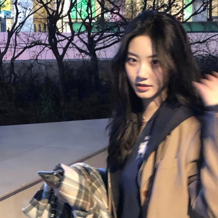 美术馆旁的动物园